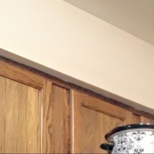 Meet your Posher, May